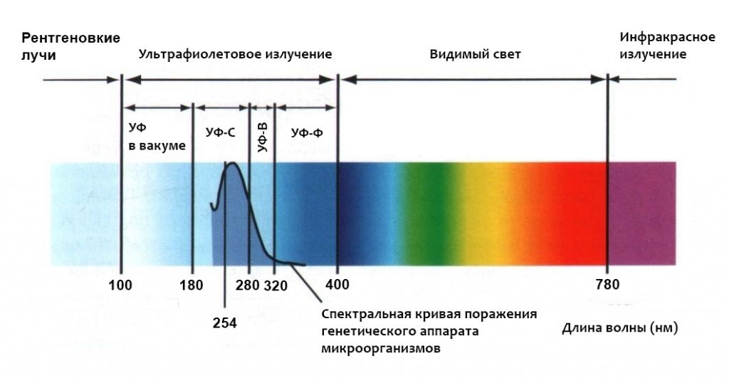 На рисунке представлены спектры излучения для двух люминесцентных ламп излучающих белый или зеленый